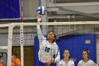 Wheaton Women's Volleyball  Wheaton Women's Volleyball vs Smith College. - Photo by Keith Nordstrom : Wheaton, Volleyball, Smith